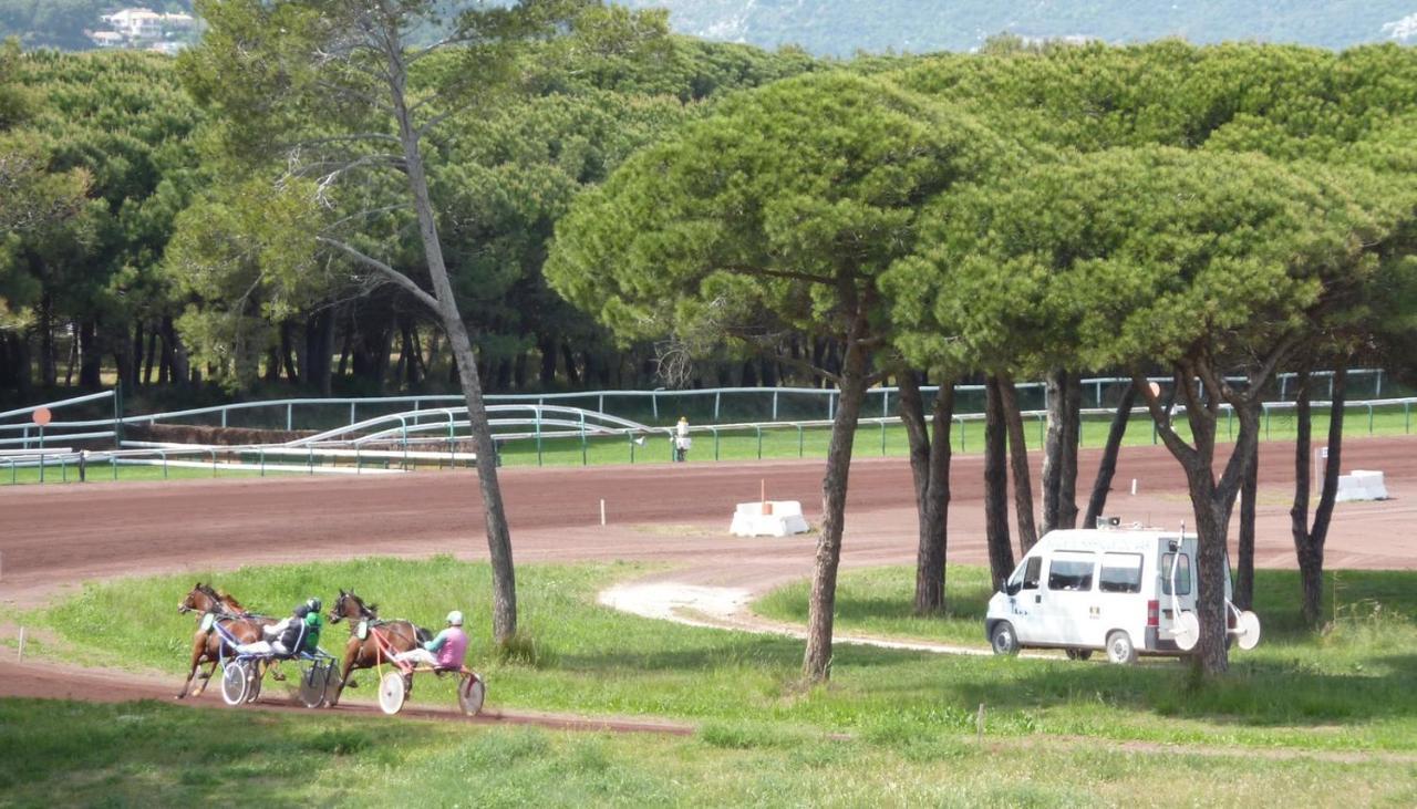 Studio Residence Bona, Vue Hippodrome Et Mer, Clim Hyères Esterno foto