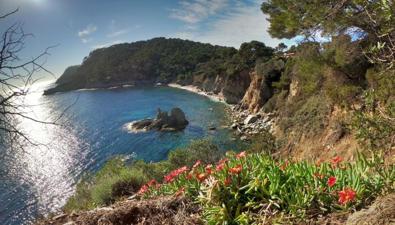 Studio Residence Bona, Vue Hippodrome Et Mer, Clim Hyères Esterno foto